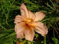 k-DSCI2940.webp