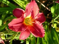 k-DSCI2942.webp