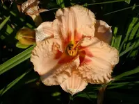 k-DSCI2943.webp