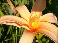 k-DSCI2944.webp
