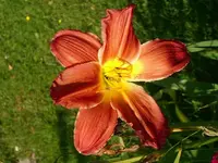 k-DSCI2946.webp