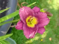 k-DSCI2947.webp