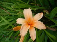 k-DSCI2954.webp