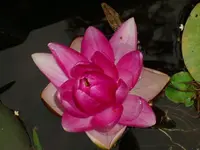 k-DSCI2955.webp