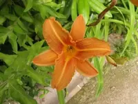 Bild 1451.webp