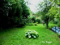 P1000701.webp