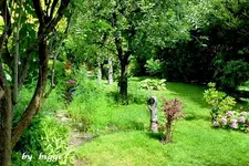P1000709www.webp