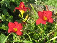 003_1024x768.webp