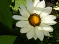 P1150523.webp