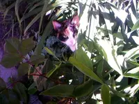 Hanne22.webp