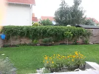 20140801_102408[1].webp