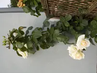 20140802 012.webp