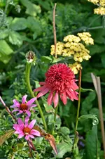 DSC_2215.webp