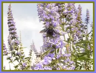 014.webp