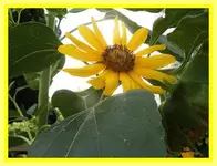 044.webp