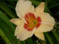 k-DSCI2964.webp