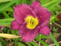 k-DSCI2967.webp