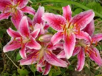 k-DSCI2968.webp
