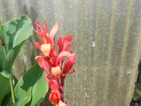 DSCN1165.JPG