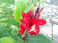 DSCN1220.JPG