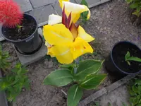 DSCN1206.JPG