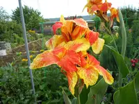 DSCN1208.JPG