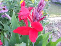 DSCN1218.webp