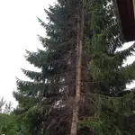 Foto.webp