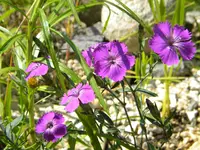 DSCN9218.webp