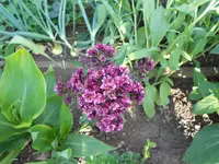 DSCN1179.webp