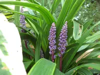 SAM_5147.webp
