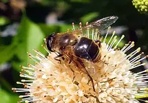 K800_DSCF4365a.webp