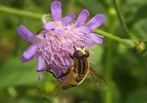 K800_DSCF4393a.webp