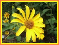 092.webp
