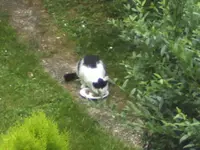 BILD3309.webp