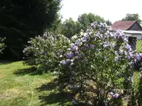 BILD3324.webp