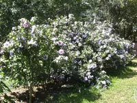 BILD3325.webp