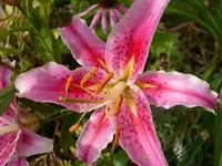 k-DSCI2978.webp