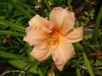 k-DSCI2976.webp