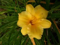 k-DSCI2979.webp