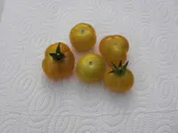 Fablonelystyni 1.webp