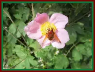 043.webp