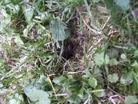BILD3306.webp