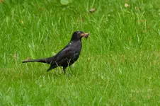 DSC_5007_19503.webp