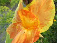 RSCN1186.webp