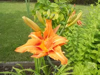 DSCN1177.webp