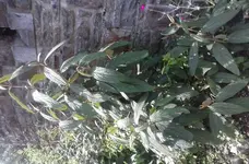 20140716_145504.webp
