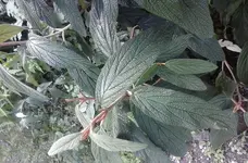 20140716_145513.webp