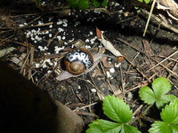 P1170439.webp