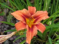007_1024x768.webp